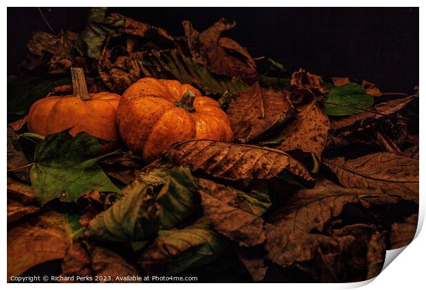 Autumn Pumpkins Print by Richard Perks