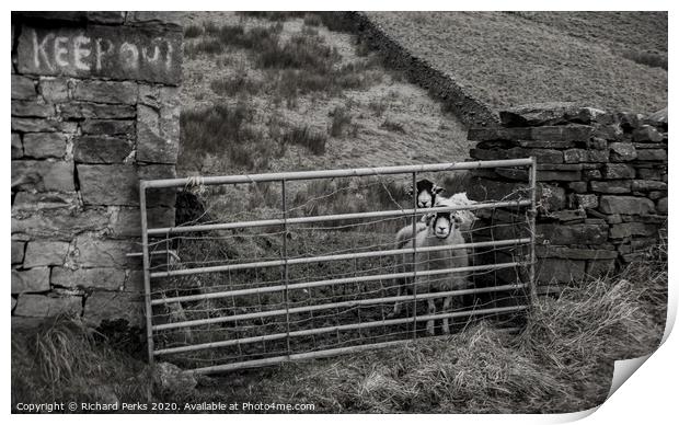 still in lockdown swaledale Print by Richard Perks