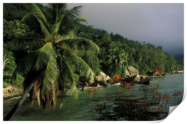 SEYCHELLES Print by urs flueeler