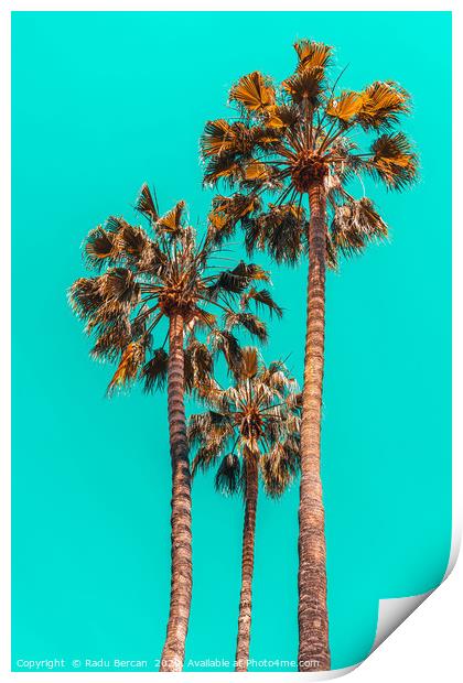 Palm Spring Trees, Summer Vibes, California Beach Print by Radu Bercan