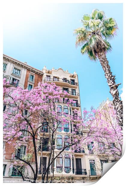 Purple Flower Trees In Barcelona City In Spain Print by Radu Bercan