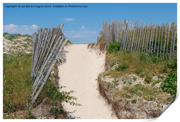 Path between the dunes in Brittany Print by aurélie le moigne