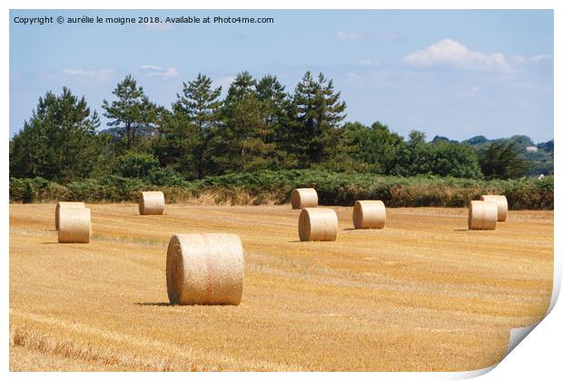 Straw bales in a field Print by aurélie le moigne