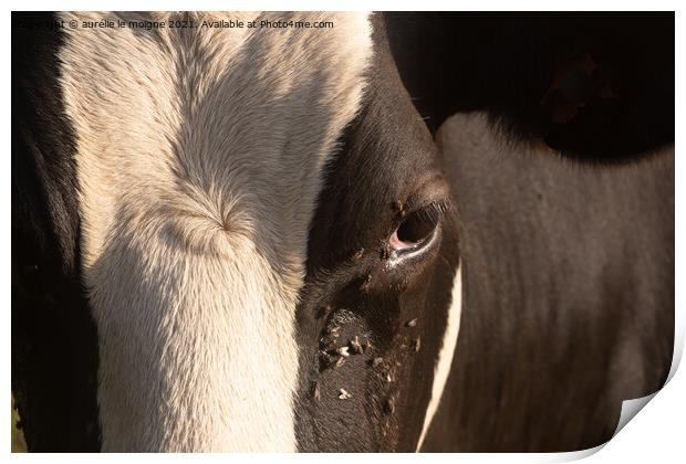 Close-up on the eye of a Holstein cow Print by aurélie le moigne