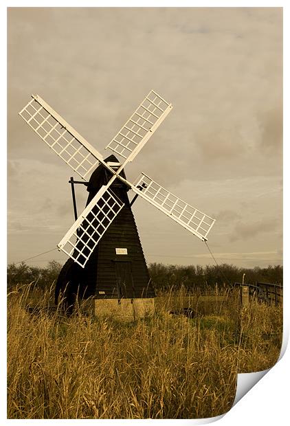 Ageing Windmill  Print by Oliver Porter