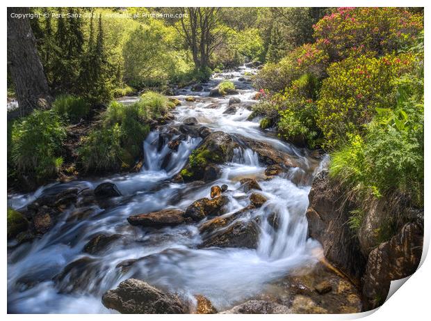 Mountain River Landscape in Eyne Valley, French Pyrenees Print by Pere Sanz