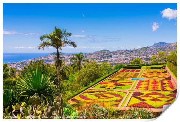 Botanical garden in Funchal Print by Nicolas Boivin