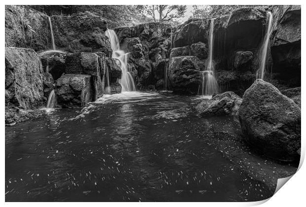 Nelly Ayre Foss in black and white Print by Kevin Winter