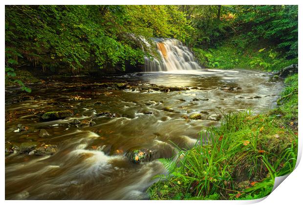 Hamsterley forest waterfall Print by Kevin Winter
