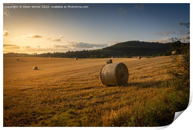 Sunset haybales Print by Kevin Winter