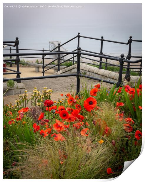 Saltburn Poppies Print by Kevin Winter