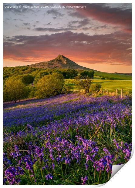 Carpet of Bluebells by Roseberry Topping Print by Kevin Winter