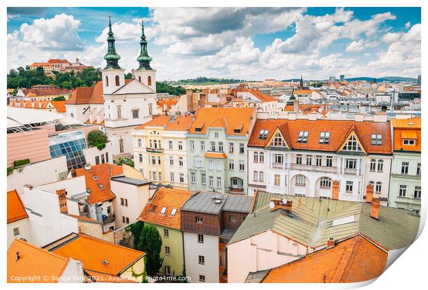 View of Brno old Town Print by Sanga Park