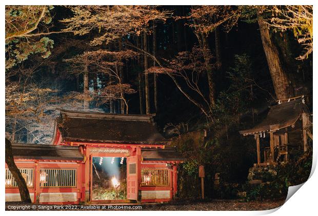 Night view of Japanese shrine Print by Sanga Park
