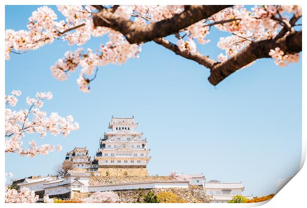 Himeji castle with cherry blossoms Print by Sanga Park