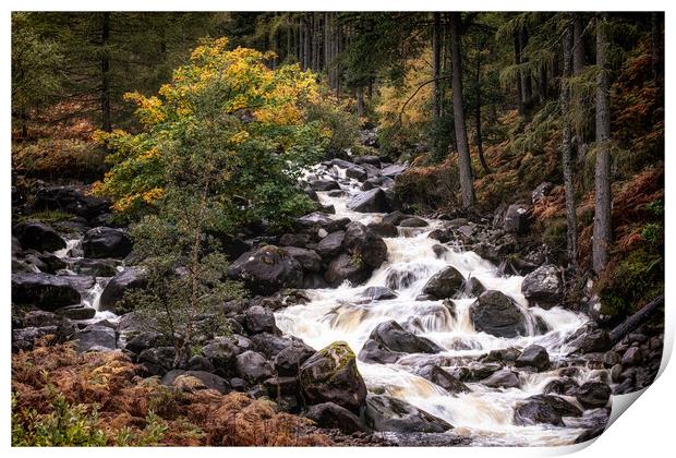 Scottish River tumbling over rocks Print by Roger Daniel