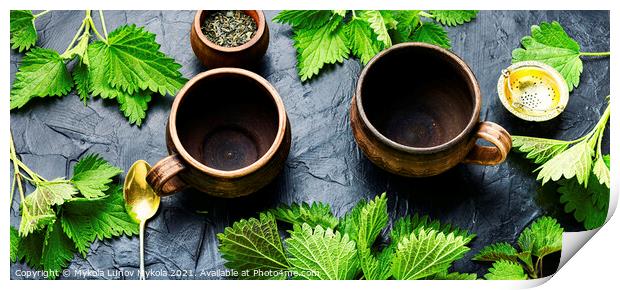 Herbal tea with nettle Print by Mykola Lunov Mykola