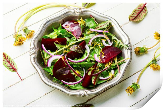 Spring green salad,white background Print by Mykola Lunov Mykola