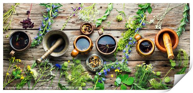 Herbal flower tea and plants Print by Mykola Lunov Mykola