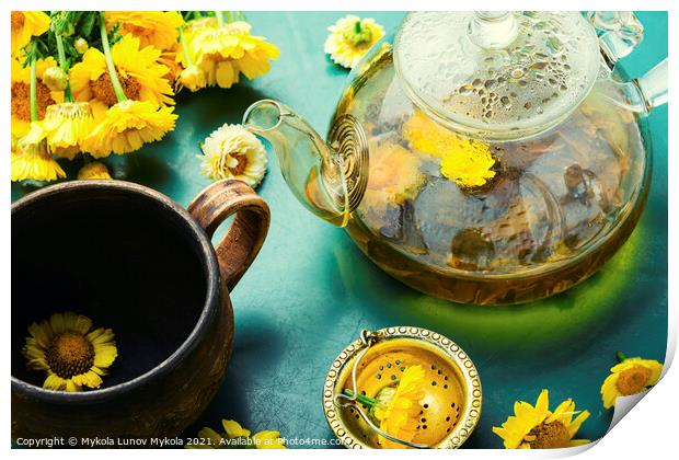 Glass teapot with flower tea,herbalism Print by Mykola Lunov Mykola