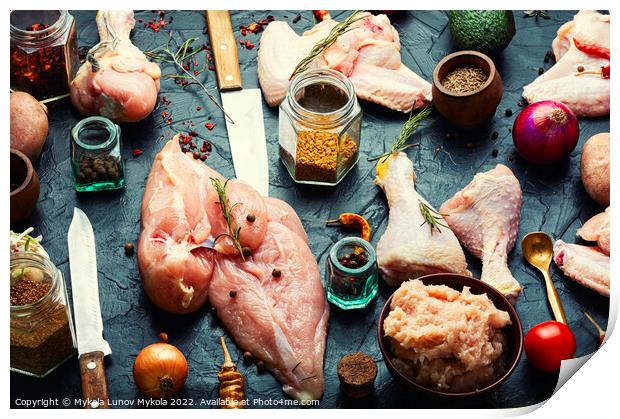 Uncooked chicken parts for cooking. Print by Mykola Lunov Mykola