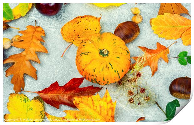 Herbarium of autumn leaves. Print by Mykola Lunov Mykola