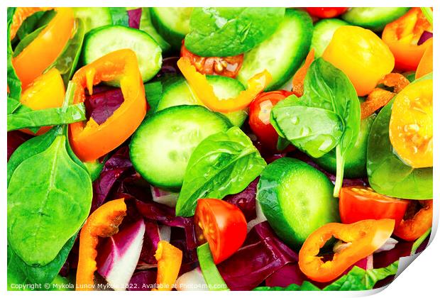 Colorful vegetable salad, food background Print by Mykola Lunov Mykola