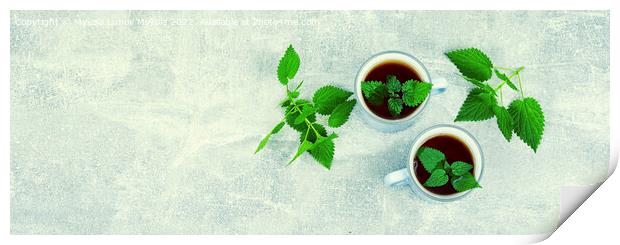 Herbal tea, healing drink, space for text Print by Mykola Lunov Mykola