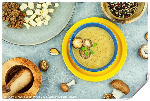 Bowl with mushroom soup Print by Mykola Lunov Mykola