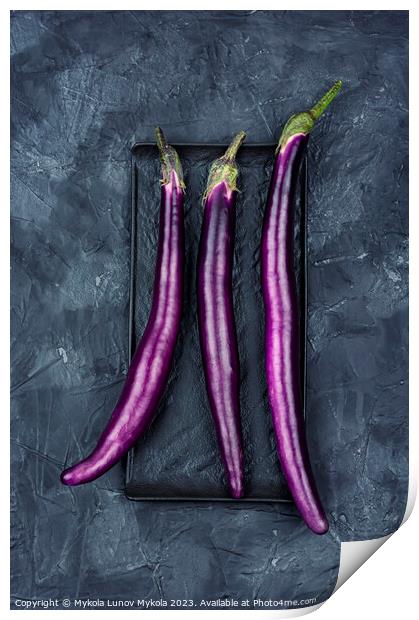 Small purple Asian eggplants, aubergine Print by Mykola Lunov Mykola