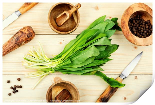 Fresh wild garlic, spring herbs Print by Mykola Lunov Mykola