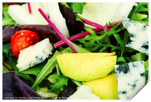 Fresh vegetable salad with cheese Print by Mykola Lunov Mykola