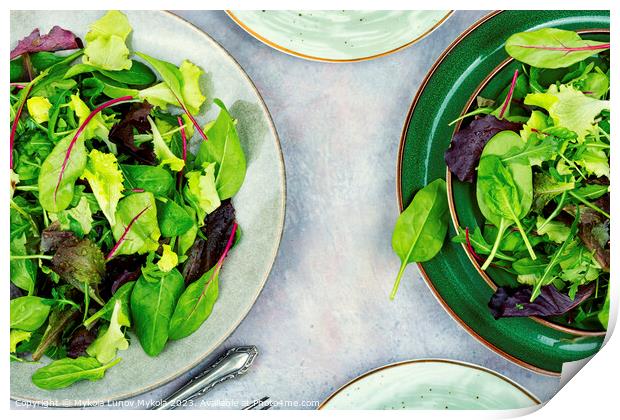 Greens raw salad, healthy eating. Print by Mykola Lunov Mykola