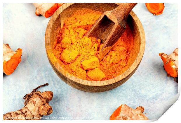 Turmeric root and turmeric powder, medicine herb. Print by Mykola Lunov Mykola