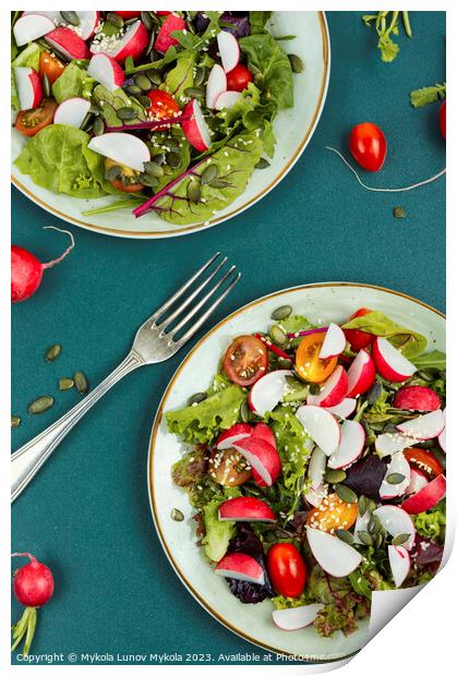 Salad, healthy vegan lunch. Print by Mykola Lunov Mykola