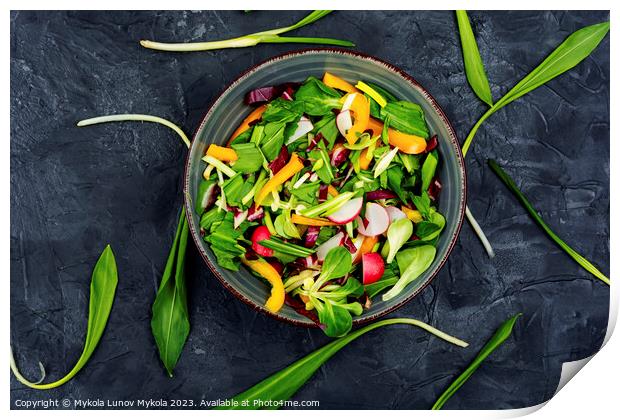 Green vegan salad Print by Mykola Lunov Mykola