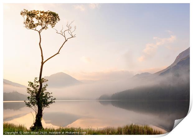 Buttermere lone tree with misty mountains, English Lake District UK Print by Northern Wild