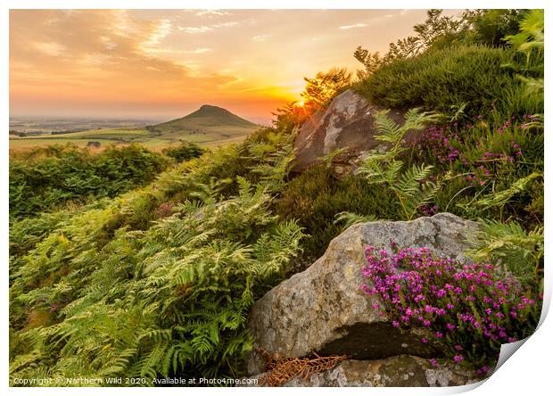 Roseberry Topping Heather Print by Northern Wild