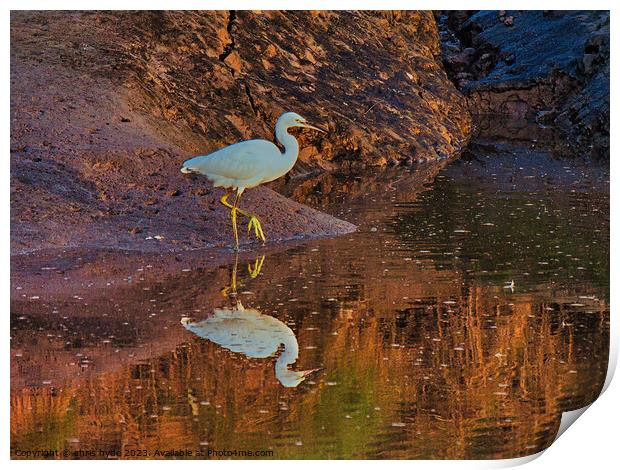 Little Egret on riverbank Print by chris hyde