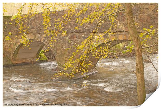 River Alyn footbridge  Print by chris hyde