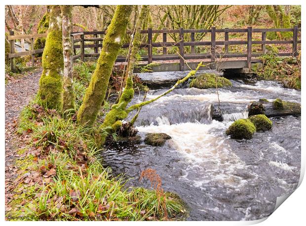 White Water Centre Print by chris hyde