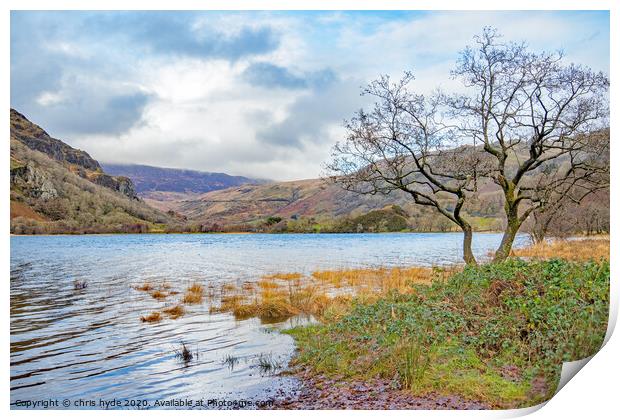 Llan Gwynant Print by chris hyde