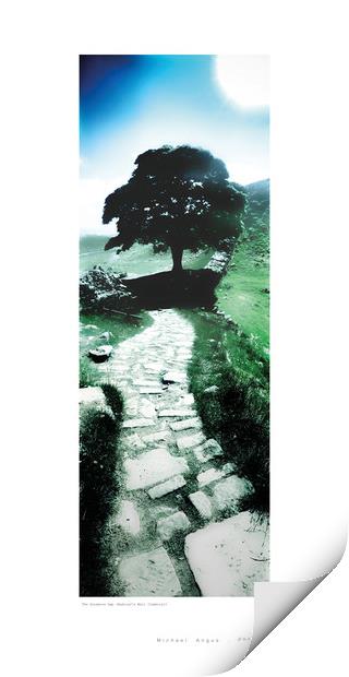 The Sycamore Gap (Hadrian’s Wall) Print by Michael Angus