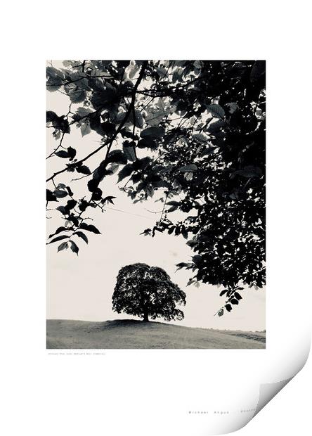 Solitary Tree (Hadrian’s Wall [Cumbria]) Print by Michael Angus