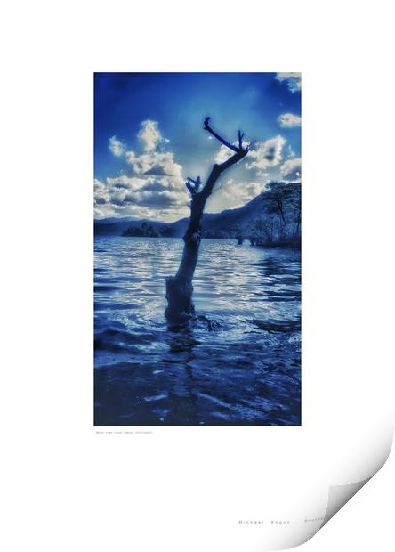 Water Tree (Loch Lomond [Scotland]) Print by Michael Angus