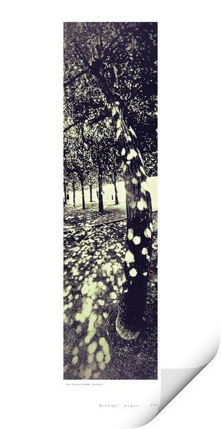 Tree Canopy (Dresden [Germany]) Print by Michael Angus
