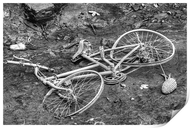 On yer Bike Print by David French