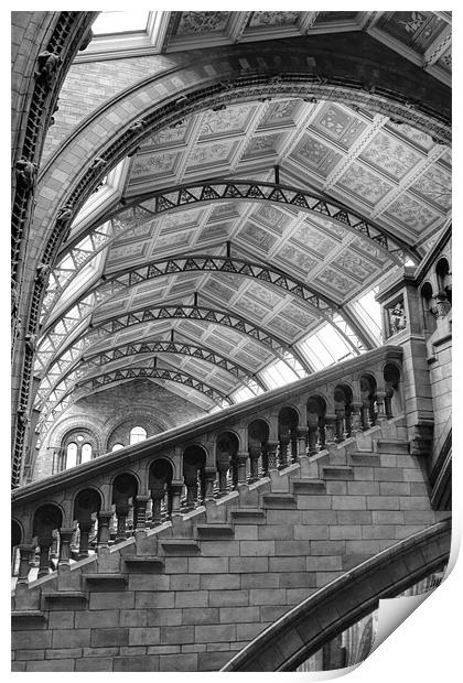 Natural History Museum Kensington Print by David French