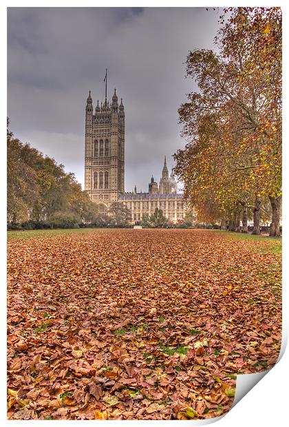 Autumn leafs Houses of Parliament HDR Print by David French