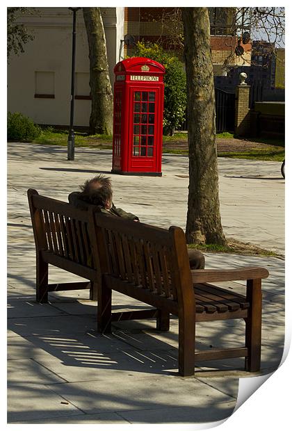 Tramp on a bench Print by David French